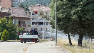 Karabükte sinek ve haşereyle mücadele çalışmaları sürüyor