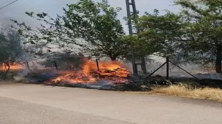 Karadağ Ormanlık alanda çıkan yangın korkuttu