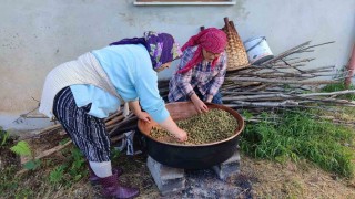 Karadenizde dut pekmezi mesaisi başladı: Kazanlar şifa için kaynıyor