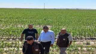 Karapınarda dolu afetinin etkilediği alanlarda inceleme