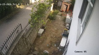 Karganın yumurta hırsızlığı kameraya yansıdı