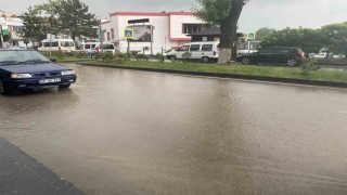Kavakta sağanak