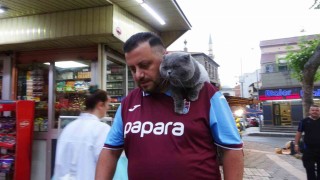 Kayıp kedi Tom 4 gün sonra bulundu