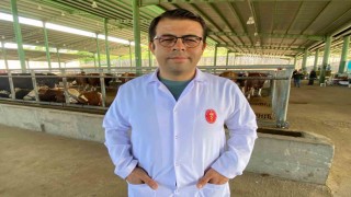 Kene tehdidine dikkat: 200den fazla hastalık etkeni taşıyabiliyor