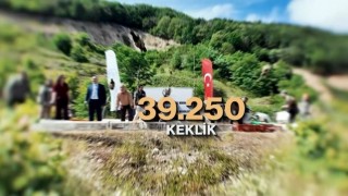 Kene ve kahverengi kokarcaya karşı doğal mücadele: 51 bin keklik ve sülün salınacak