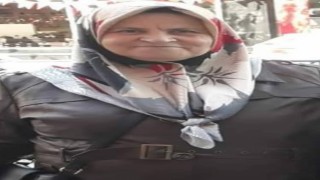 Keşanda evinin bahçesinde çıkan ot yangınının üzerine düşen kadın hayatını kaybetti