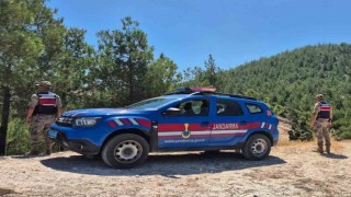 Kiliste orman yangınlarına karşı jandarmadan denetim