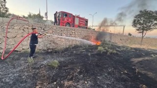 Kırıkhanda zeytinlik alan yangını