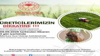 Kırklarelinde süne alarmı: Üreticilere 3 günlük ilaçlama çağrısında bulunuldu