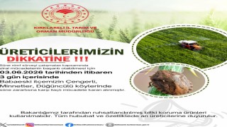 Kırklarelinde süne zararlısına karşı ilaçlama uyarısı