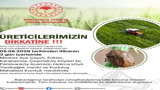 Kırklarelinde süne zararlısına karşı ilaçlı mücadele kararı