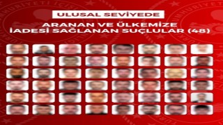 Kırmızı bültenle ve ulusal seviyede aranan 90 suçlu 16 ülkeden yakalanarak Türkiyeye getirildi
