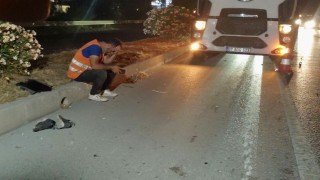 Kızını YKSye götürmek için yola çıktı, feci kazada hayatını kaybetti