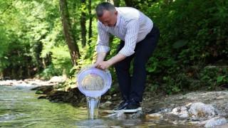 Kocaeli sularına 50 bin kırmızı benekli alabalık dopingi