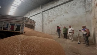 Koçarlıda ilk hububat alımı gerçekleştirildi