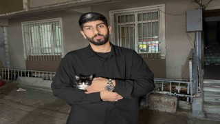Küçükçekmecede 7inci kattan düşen kedi şemsiye ile kurtarıldı