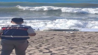 Kurucaşilede plajda silahlı insansız hava aracı bulundu
