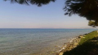Kuşadasında deniz suyu kalitesi yüz güldürdü