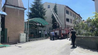 Kütahyada ağaca takılan serçe itfaiye ekiplerince kurtarıldı