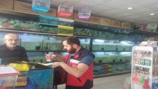 Kütahyada ev hayvanı satış yerlerinde denetim
