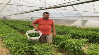 Lezzeti fiyatını unutturuyor