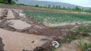 Malatyada dolu yağışı tarım arazilerini sular altında bıraktı