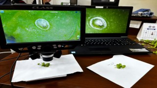 Manisada 102 istasyondan gelen verilerle üreticiye erken uyarı