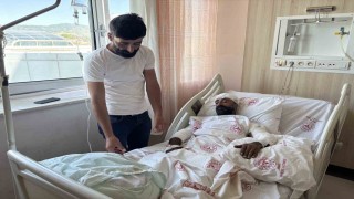Mantar toplarken ayı saldırısına uğradı, kollarıyla başını siper ederek hayatta kaldı