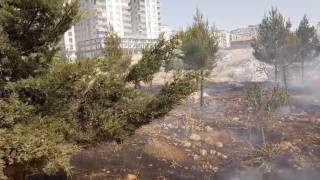 Mardinde farklı noktalarda çıkan yangınlara müdahale sürüyor
