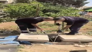 Mardinde kuyuda görülen yılan doğaya bırakıldı