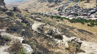 Mardinde ormanlık alanda çıkan yangın söndürüldü