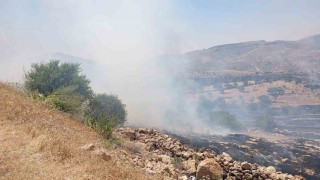 Mardinde ormanlık alanda çıkan yangına müdahale ediliyor