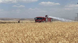 Mardinde yaklaşık 300 dönüm ekili alan alevlere teslim oldu