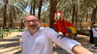 Medinede papağanlar hacı ve umrecilerin ilgi odağı oldu