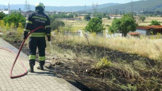 Menteşede  yol kenarına atılan sigara izmariti yangın çıkardı