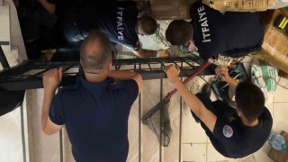 Merdiven boşluğuna sıkışan kedi merdiven ve fayans kırılarak kurtarıldı