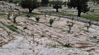 Mersin Erdemlide dolu tarım alanlarına zarar verdi