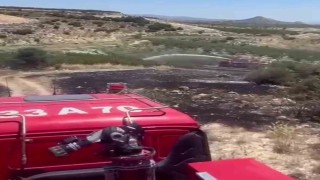 Mersin'de 6 dekar bahçe yangında zarar gördü