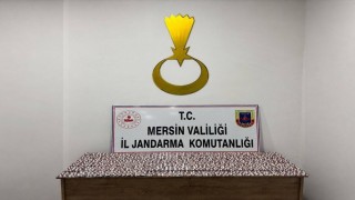 Mersinde 7 bin 256 sentetik hap ele geçirildi, 1 tutuklama