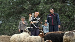 Mersinde bir koyun alamayan aile sürü sahibi oldu