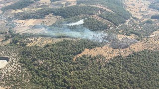Milasta çıkan zirai yangın kısa sürede kontrol altına alındı
