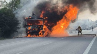 Moldova plakalı nişasta yüklü tır otobanda alevlere teslim oldu