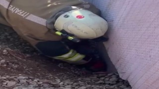 Moloz yığını altında kalan yavru kedi kurtarıldı