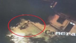 Motosikleti rahat tavırlarla çalan hırsızın o anları kamerada