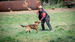 Muğla NAK Arama Kurtarma Köpekleri Macaristanda sahaya indi