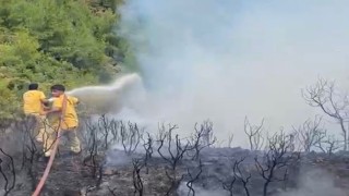 Muğlada yıldırım kaynaklı 2 orman yangını