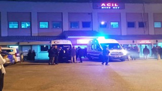 Muş Bulanıkta trafik kazası: 2 yaralı