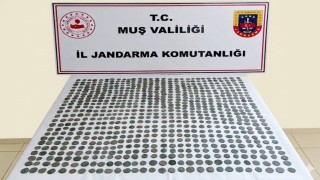 Muşta 749 adet tarihi sikke ele geçirildi