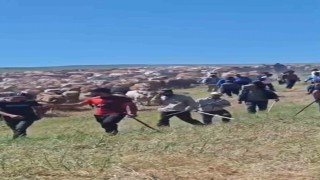 Muşta iki köy arasında arazi kavgası: 2 yaralı