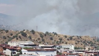 Nazillide zirai alan yangını